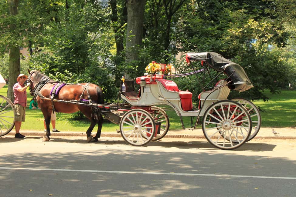 NYC: Private Central Park Horse Carriage Ride with Guide - What a Central Park carriage ride gets right, right away
