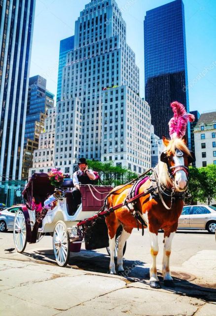 NYC: Private Central Park Horse Carriage Ride with Guide - How the 40–60 minute timing feels on the ground