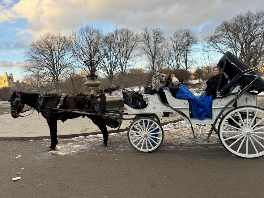 NYC: Private Central Park Horse Carriage Ride with Guide - Price and value: $13 per group, and who that helps most