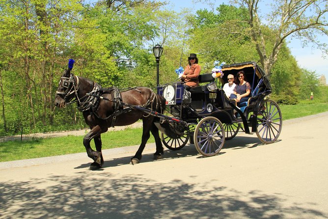 Official NYC Horse Carriage Rides in Central Park since 1979 ™ - Key highlights I’d plan around