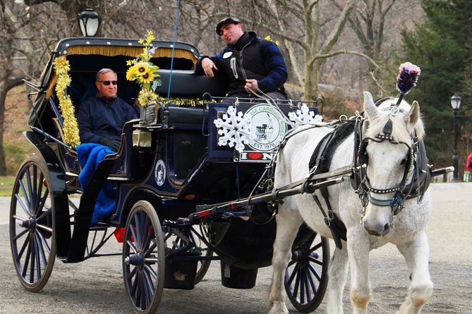 Official NYC Horse Carriage Rides in Central Park since 1979 ™ - The horse, the blankets, and the pacing that makes or breaks it