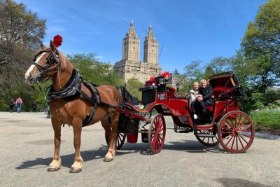 Official NYC Horse Carriage Rides in Central Park since 1979 ™ - Price for a private group: when $99 is good value (and when it isn’t)