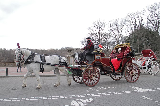 Official NYC Horse Carriage Rides in Central Park since 1979 ™ - Who this carriage ride fits best (and who might want a different plan)