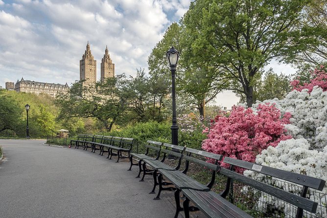 Official NYC Horse Carriage Rides in Central Park since 1979 ™ - Timing and weather: how to avoid a letdown