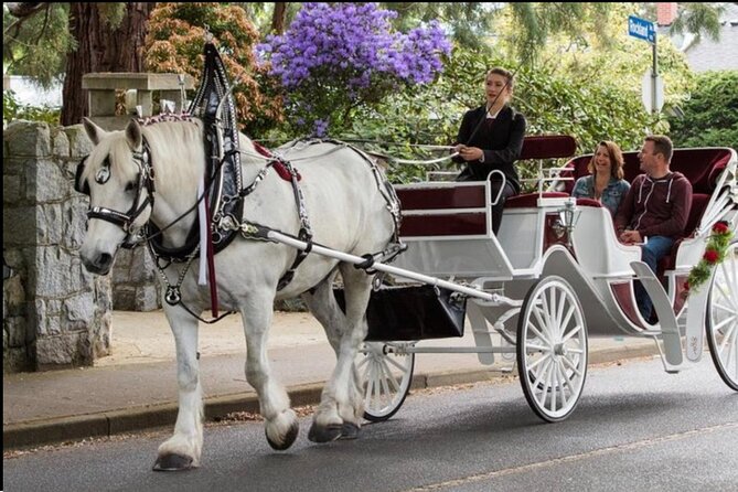 Official Private NYC Central Park Horse Carriage Ride Since 1970™ - Central Park by horse: the value of a private, low-effort tour