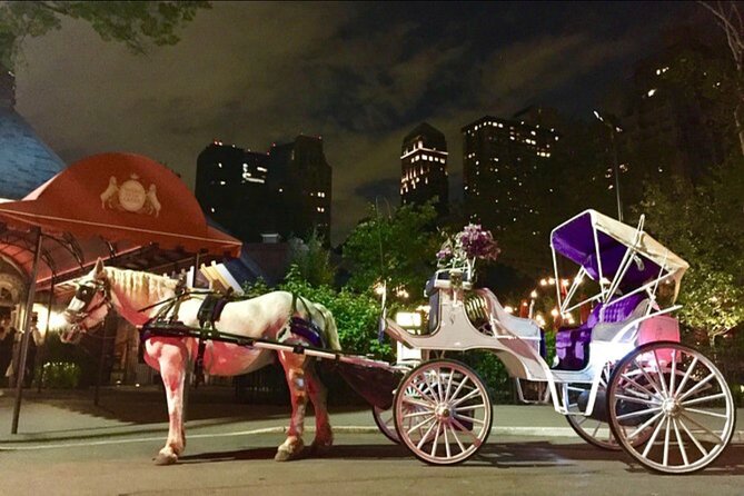 Official Private NYC Central Park Horse Carriage Ride Since 1970™ - Short vs standard ride: why your route might feel different