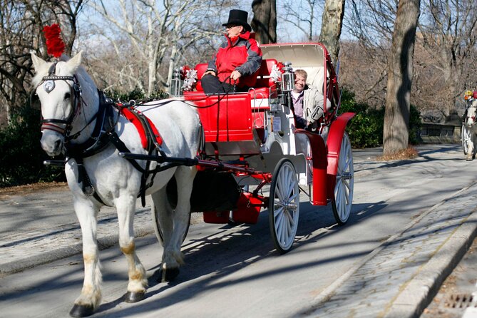 Official Private NYC Central Park Horse Carriage Ride Since 1970™ - Carousel, Chess & Checkers, and the dairy area: fun stops that work for kids