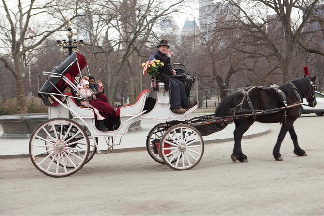 Official Private NYC Central Park Horse Carriage Ride Since 1970™ - Photo Stop energy at Bethesda Terrace and the fountain