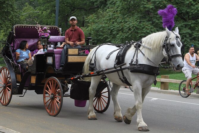 Official Private NYC Central Park Horse Carriage Ride Since 1970™ - Cherry Hill: where you may feed the horse and get extra picture time