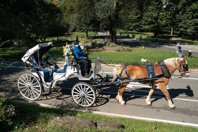 Official Private NYC Central Park Horse Carriage Ride Since 1970™ - Balto and Rumsey Playfield: classic icons on the standard route