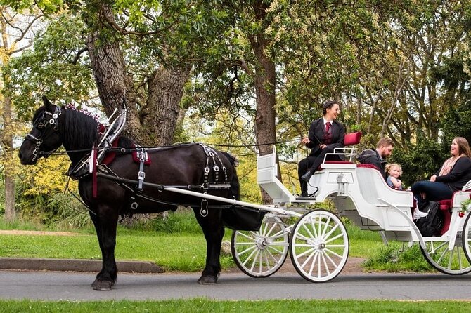 Official Private NYC Central Park Horse Carriage Ride Since 1970™ - Price and group size: $7.99 per group, not per person