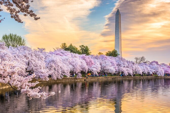 Washington DC Day Tour from New York City - Key Highlights You’ll Actually Feel
