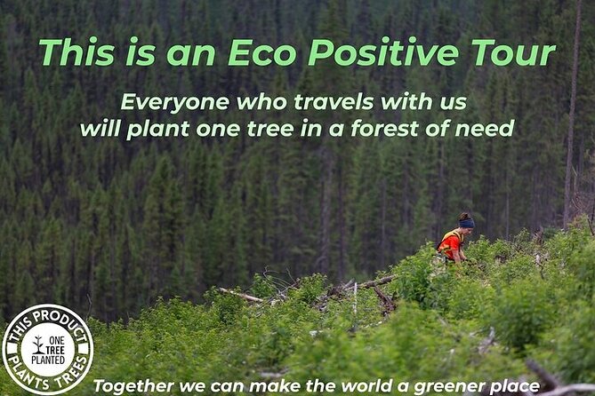 Washington DC Highlights, 1-Day Tour from NYC - The NYC-to-DC road trip: timing, comfort, and Wi-Fi reality